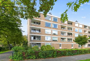 Paramaribostraat 7 Leiden Paramaribostraat 7 Leiden